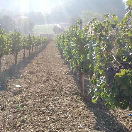 Agriturismo San Vito Crocemaroggia Kültér fotó