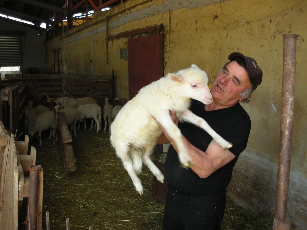 Agriturismo San Vito Crocemaroggia Kültér fotó